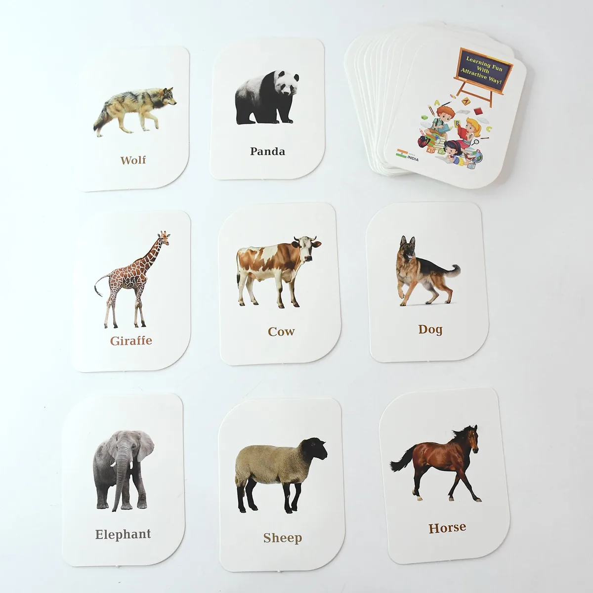 Animal flash cards spread out showing different animals