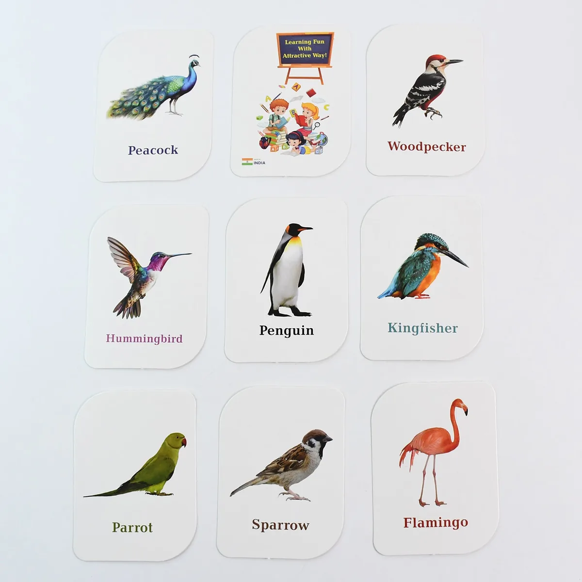 Bird flash cards laid out, including peacock and penguin